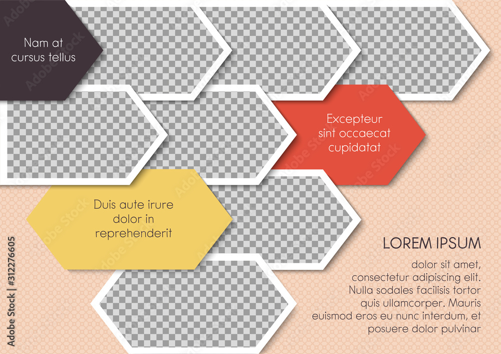Wall mural template for photo collage or infographic in modern style. frames for clipping masks are in the vect