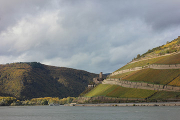 Ruin of Ehrenfels Castle on a steep slope on the Rhine river in Germany