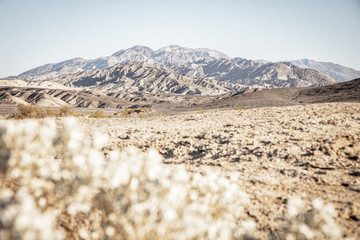 Wüstenlandschaft in den USA; Death Valley