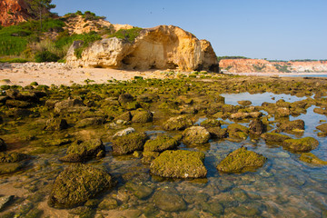 Fototapeta na wymiar Praia de Falesia in Algarve, Portugal.