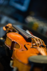 violin on black background