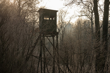 hunting High seat in a fall forest