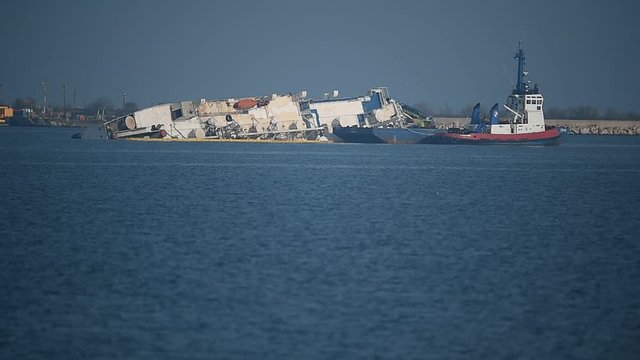 Livestock cargo ship is seen capsized near a harbor 