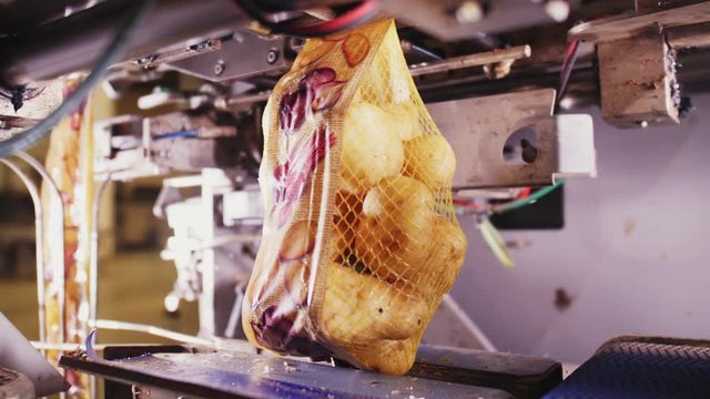 mesh bags filled with potatoes by machine in workshop