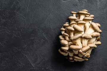 Raw oyster mushrooms. Organic food. Black background. Top view. Space for text