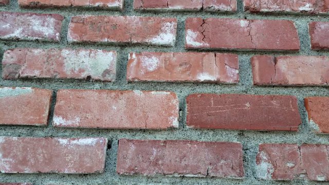 Brick Wall Slow Pan Motion