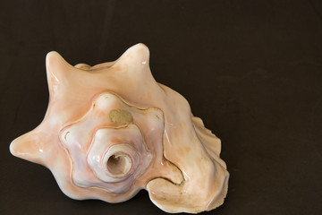 Prehispanic instrument of Mexico, Caracol Azteca