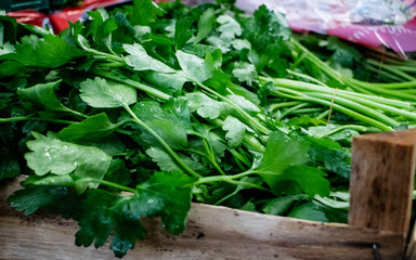 Petersilie, Kräuter zum Kochen