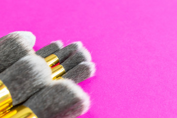 Cosmetics brushes. Drawing products for skin with copy space. Be