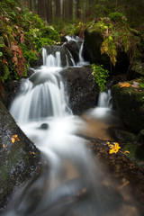 waterfall in the forest