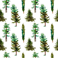 Watercolor natural forest seamless pattern of evegreen trees, Green tree texture