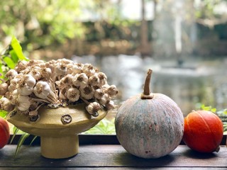Garlic and pumpkin are harvested.