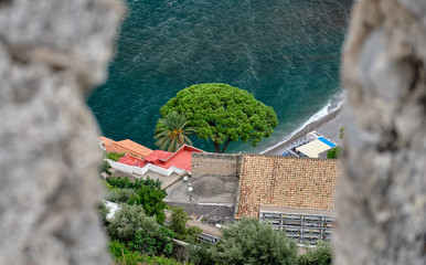 Stone pine tree