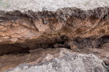 a landslide with cracks in the soil, a closeup of the crack inside the clay gorge.
