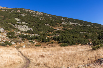 Landscape around Popovo Lake, Pirin Mountain, Bulgaria