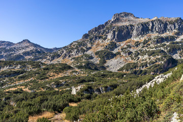 Fototapeta na wymiar Dzhangal peak near Popovo Lake, Pirin Mountain, Bulgaria
