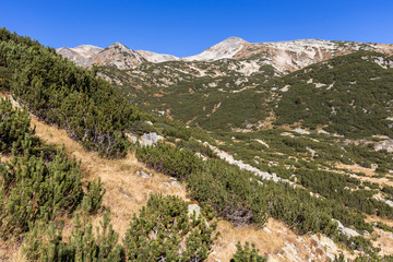 Fototapeta na wymiar Landscape of Polezhan peak, Pirin Mountain, Bulgaria