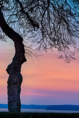 Sunset Looking out on Port Gardner Puget Sound From Park in Everett Washington