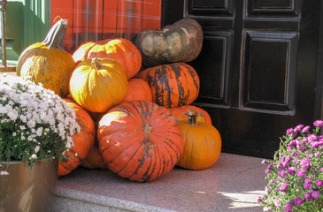 Beautiful multi-colored autumn pumpkins decorate the houses of citizens. The design of the decoration of the entrance to the house with bright autumn pumpkins.