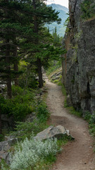 Pathway Though Rocks And Trees