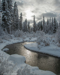 Winter Wonderland