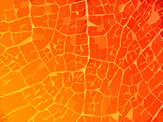 Obraz premium Elegant and beautiful background. Background with smooth gradient colors. Good background for text.