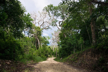 Fototapeta na wymiar Dirt road through the green jungle mountains of Peten, El Remate, Guatemala
