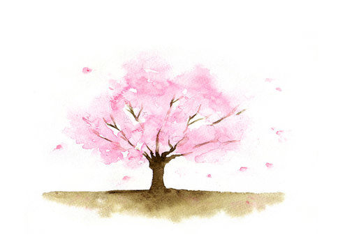 桜の木 Images – Browse 42,182 Stock Photos, Vectors, and Video