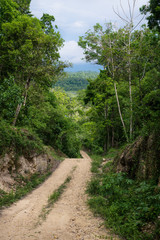 Dirt road through the green jungle mountains of Peten vertical, El Remate, Guatemala
