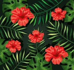 Deurstickers achtergrond van bloemen rode en tropische bladeren vector illustratie design © Gstudio
