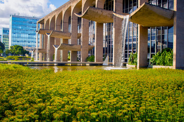 Plantando Justiça - Palácio da Justiça - Brasília/DF