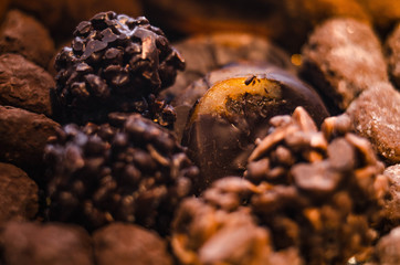 Tasty Different Chocolates Box Close Up - Orange Coated of Chocolate, Nut Crunch Bombon
