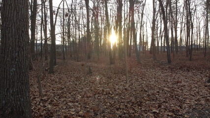 Fototapeta premium DCIM\100MEDIA\DJI_0444.JPG