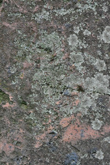 material canvas desing concrete wall wood