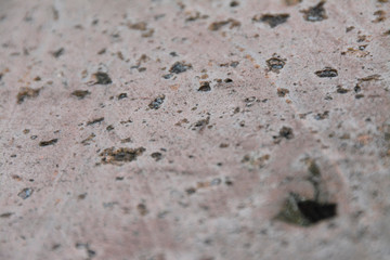 material canvas desing concrete wall wood