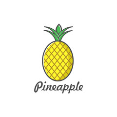 vector illustration icon pineapple flat design color full