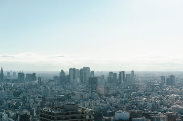 Fototapeta premium 東京都豊島区池袋から見た東京の景色