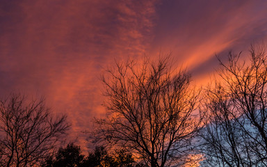 Fototapeta na wymiar fire in the sky late afternoon 