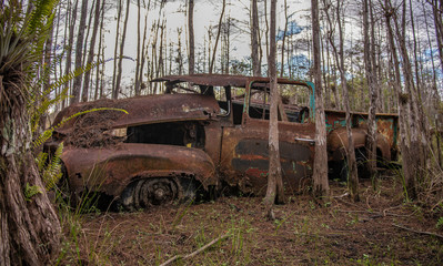 old abandoned car in a forest