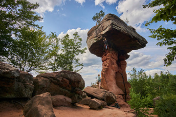 Fototapete bei efototapeten.de bestellen   