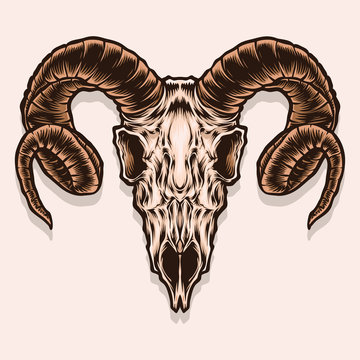 goat skull vector and illustration
