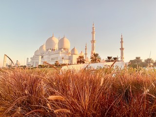 mosque in istanbul