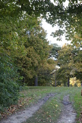 Path in park
