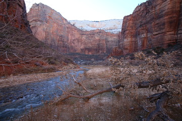 Fototapeta na wymiar Desert red rocks with running creek in Zion National Park
