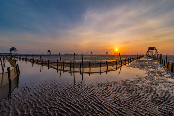 Morning in the Dong Chau Beach, Tien hai district, Thai Binh province, This is one of largest Clam farm of Vietnam for domestic market and export Viet Nam.