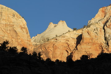 Fototapeta premium Orange colored rocks early morning in Zion National Park