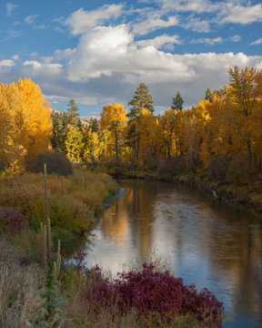 Autumn on the Flathead River © Teri