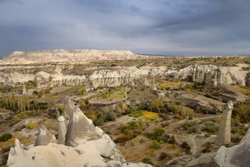 Vinards and orchards among Fairy Chimneys in Love Valley Goreme National Park Turkey