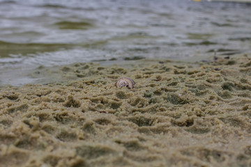 espiral