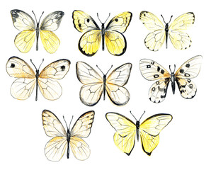 Naklejka na ściany i meble Set of butterflies. Vintage elegant ink and pencil illustration.